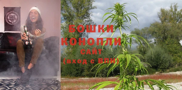 эйфоретик Тихвин