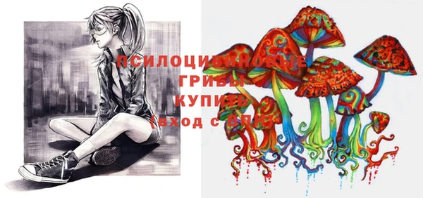 эйфоретик Тихвин