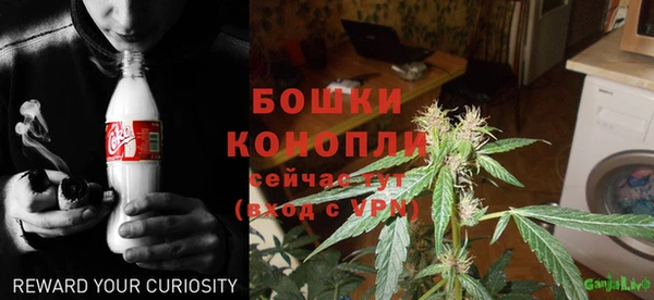 эйфоретик Тихвин