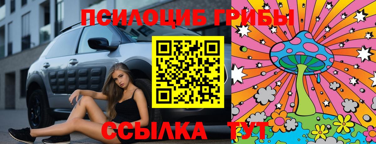 Галлюциногенные грибы Psilocybine cubensis  Вход с VPN  Псилоцибиновые грибы прущие грибы  Севастополь 
