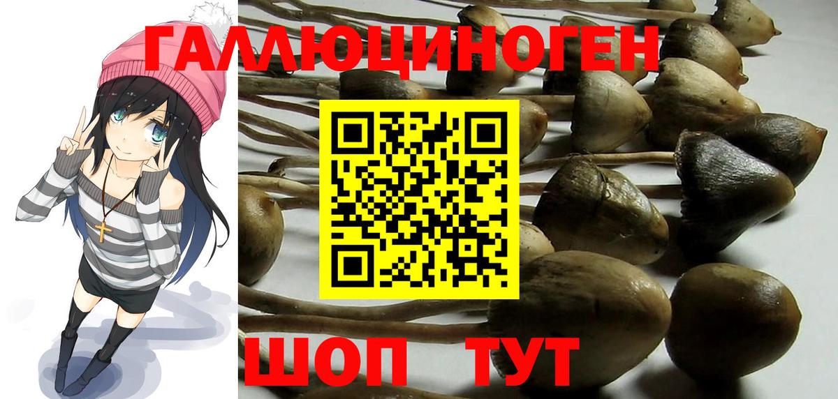 Экстази  Канабис  Вход с VPN  Севастополь  Кокаин  MDMA  Меф МЯУ МЯУ кристаллы  ТГК 