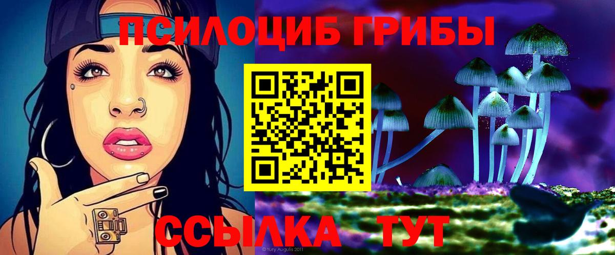 Псилоцибиновые грибы Cubensis Севастополь