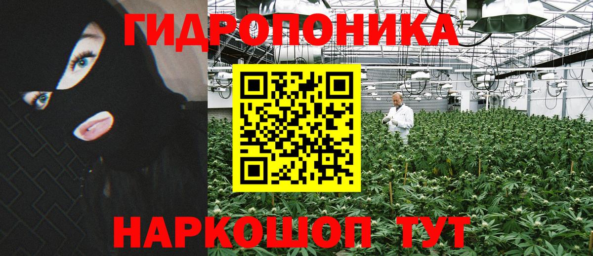 Каннабис конопля Севастополь